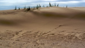 dunes2goodsmall
